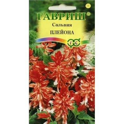 Цв.Сальвия Плейона карликовая (Гавриш) 4шт