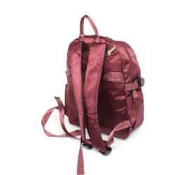 Рюкзак жен текстиль JLS-MZ-911,  1отд,  5внеш+3внут карм,  слива 256416