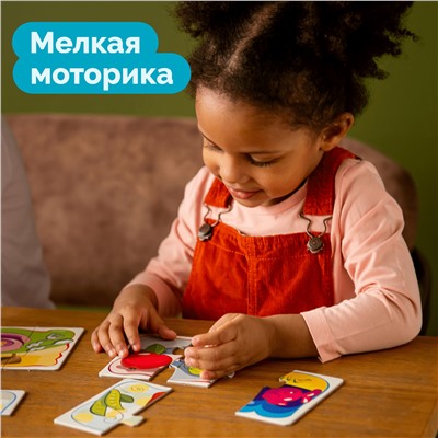 Тройные пазлы «Собери в группы»