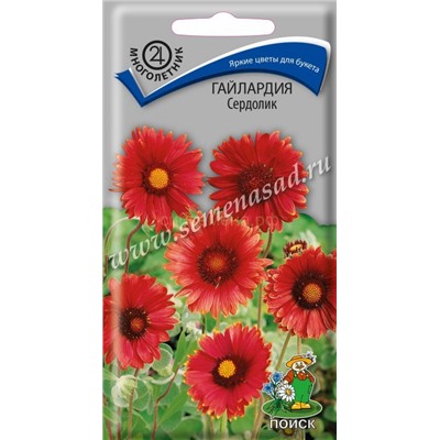 Гайлардия Сердолик Мн (П)