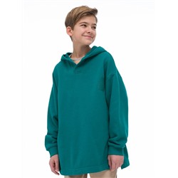 BFNK4322/1 (Толстовка для мальчика, Pelican Outlet )