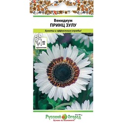 Венидиум Принц Зулу (НК)