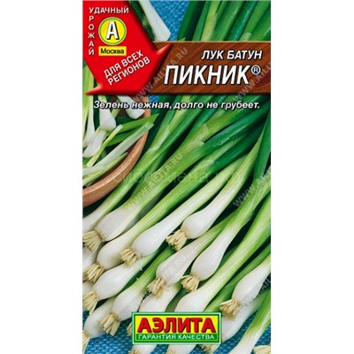 Лук  батун Пикник (Аэлита)