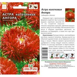 Цв.Астра Ангора коготковая (Сем.Алтая) 0,2г