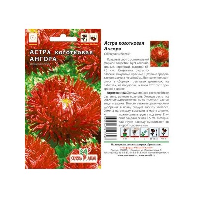Цв.Астра Ангора коготковая (Сем.Алтая) 0,2г