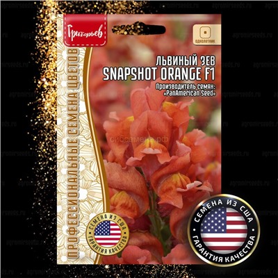 Львиный зев Снэпшот Оранж - Snapshot Orange (Редкие)
