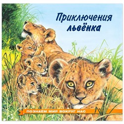 Кн. Познаем мир вокруг нас. Приключение львенка 16 цветн.стр. 21*21см 28237