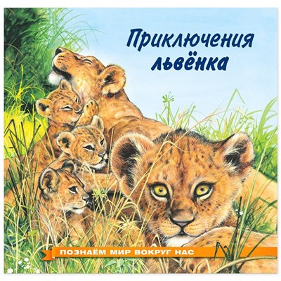 Кн. Познаем мир вокруг нас. Приключение львенка 16 цветн.стр. 21*21см 28237