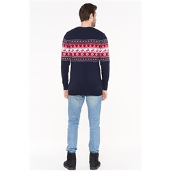 Джемпер мужской 202-12209