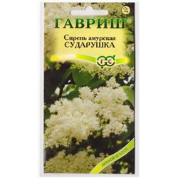 Сирень амурская Сударушка (Код: 67007)