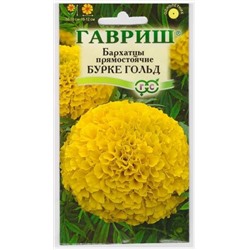 Бархатцы Бурке Голд (Код: 9324)