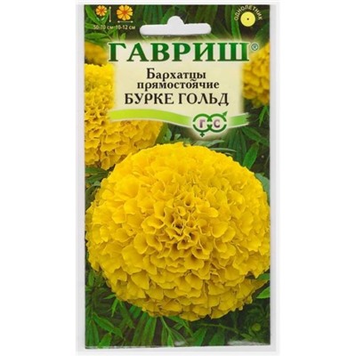 Бархатцы Бурке Голд (Код: 9324)
