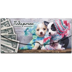 Конверт д/денег Подарочек (вып.по 2шт.) 12450