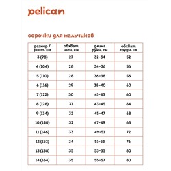 BWCJ7119 (Сорочка для мальчика, Pelican Outlet )