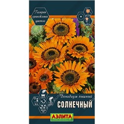 Венидиум Солнечный (Код: 89512)