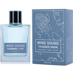 WIND SOUND THUNDER SNOW (Звук Ветра. Снежная гроза)/муж. M~