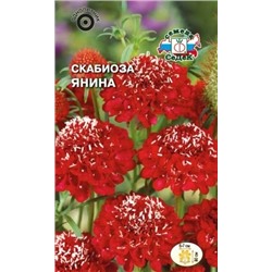 Цв.Скабиоза Янина (Седек) 0,1г