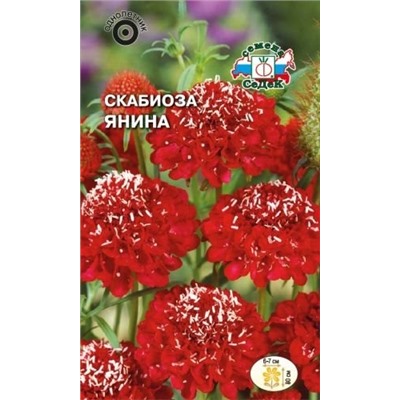 Цв.Скабиоза Янина (Седек) 0,1г