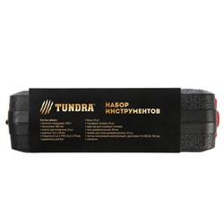 Набор инструментов в кейсе TUNDRA "23 Февраля", подарочная упаковка, 46 предметов
