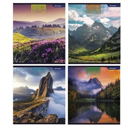 Тетрадь 96 л клетка офсет ALINGAR  NATURE COLOURS 4 дизайна AL9235 (выпис.по 2шт.)