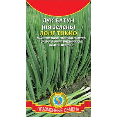 Лук Батун Лонг токио (Плазма) 0,4г
