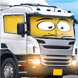 Автошторы Смайл 3