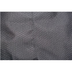 Брюки утепленные "DemiGnoll" taslan (черный) Б-427-1