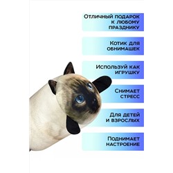 Игрушка-антистресс Кот Барсик