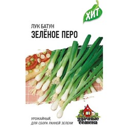 Лук на зелень Зеленое Перо ХИТ (Код: 71006)