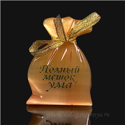 Магнит из селенита "Полный Мешок ума",  50*70мм.