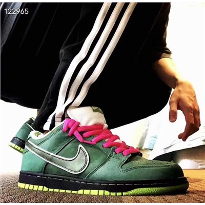 Nike Sb Dunk Low Pro