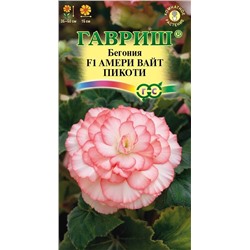 Бегония Амери Вайт Пикоти F1 (Код: 90667)