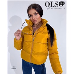 Зимние куртки и пуховики 801992