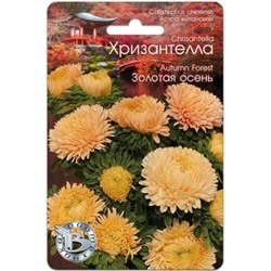 Цв.Астра Хризантелла Золотая осень (Био) 30шт.