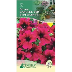 Петуния Саксесс 360 Бургунди F1, 10сем (цв.)
