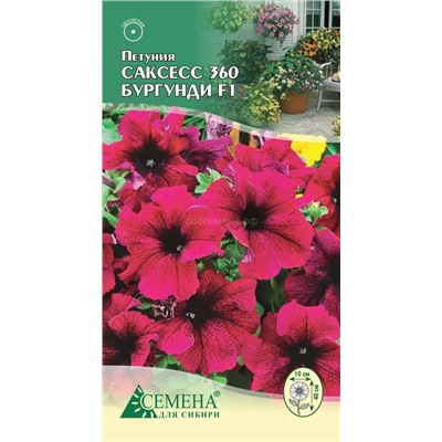 Петуния Саксесс 360 Бургунди F1, 10сем (цв.)