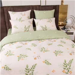 Комплект постельного белья Сатин 100% хлопок C623