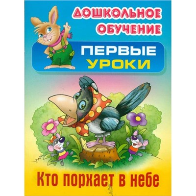 Кто порхает в небе