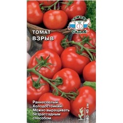 Томат Взрыв (СеДеК) 0,1г