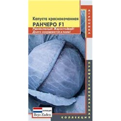 Капуста Краснокочанная Ранчеро F1 (Плазма) 10шт