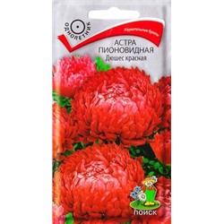 Астра Дюшес красная (Код: 84342)