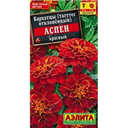 Бархатцы Аспен красный (Аэлита)