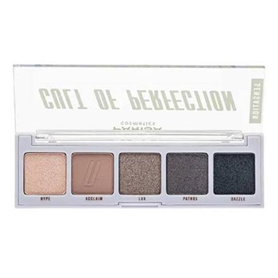 Тени д/век 5 цветов E-605  03 серо-бежевая гамма Parisa