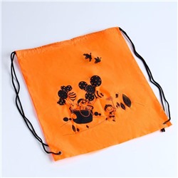 Набор юного исследователя с биноклем и фонариком