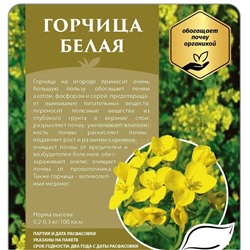 Горчица 1 кг (СдС)