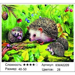 АМБП KWA0209, 40х50 см