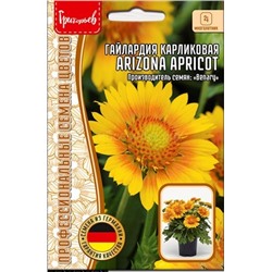 Гайлардия Аризона Априкот - Arizona Apricot карлик. (Редкие)