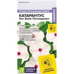 Катарантус Хит Вейв Пепперминт (Алтай)