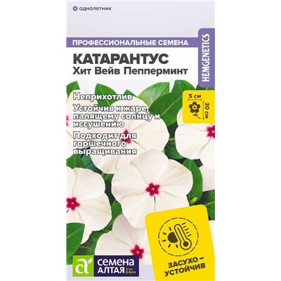 Катарантус Хит Вейв Пепперминт (Алтай)