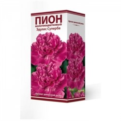 Пион Эдулис Суперба трав.1шт (Поиск)
